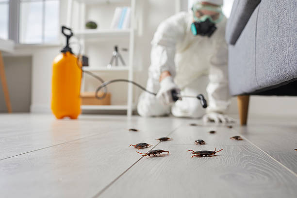 Post-Treatment Bed Bug Interceptor Monitoring in Sayre